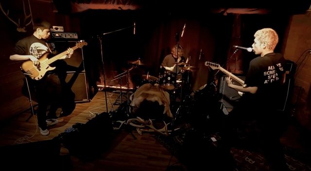 Live at Studio Coelacanth